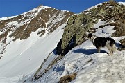 64  Dal Passo di Salmurano (2017 m) Nika in osservazione